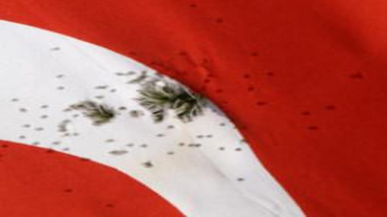Türk bayrağına ateş edildi! Valilikten açıklama!