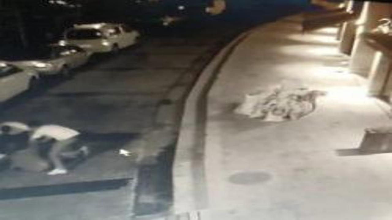Tamiri reddetti, döner bıçağıyla katledildi: 16 yaşındaki Yusuf'un davasında karar!
