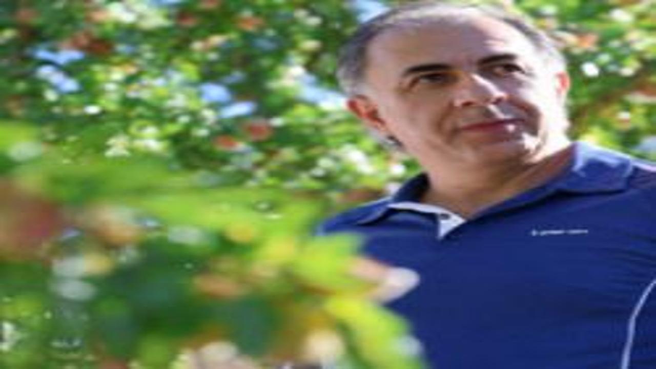 Elazığ'da çorak araziyi Fransız badem bahçesine dönüştürdü! Emeğe bakan gıpta etti