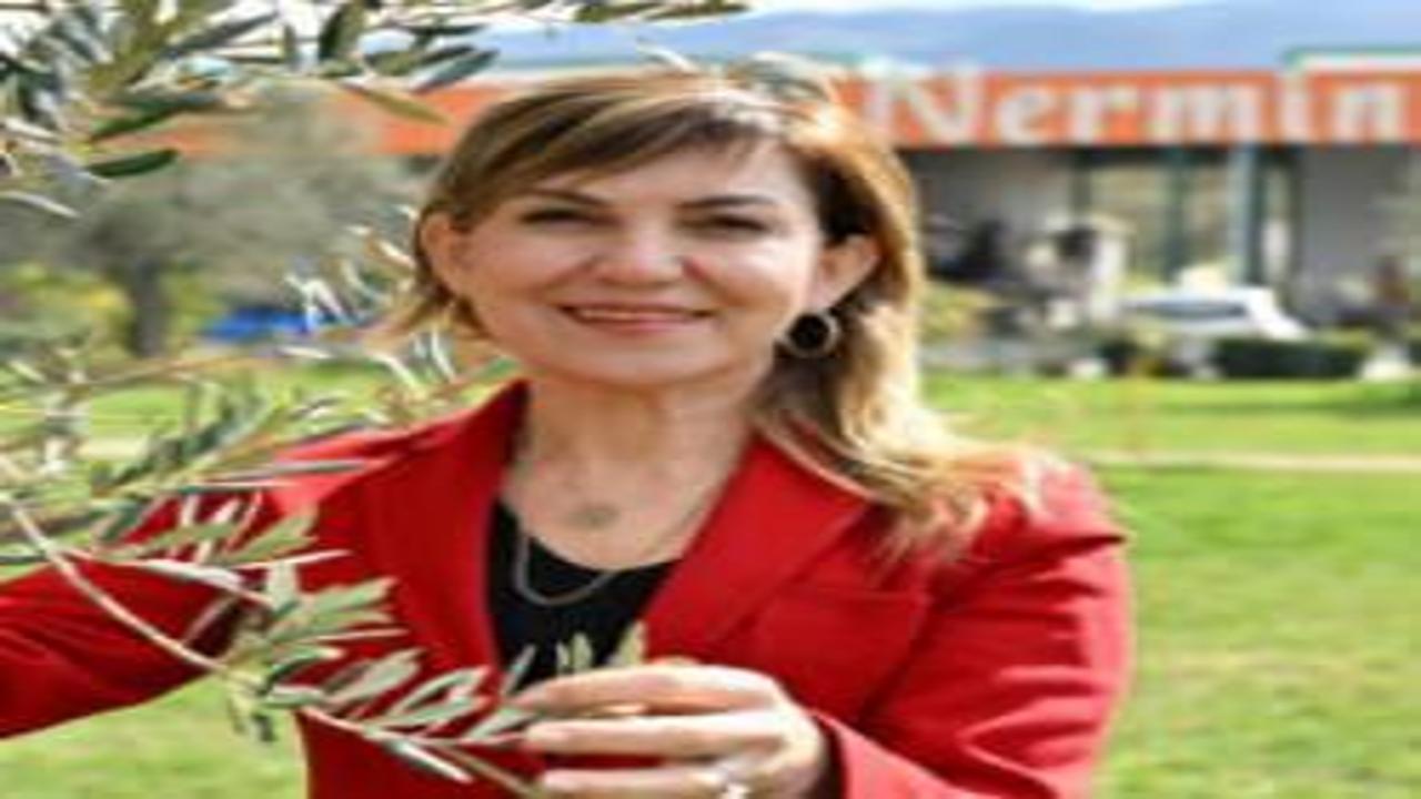Nermin Hanım Zeytinliği, ödüllü zeytinyağlarıyla ABD pazarına açıldı