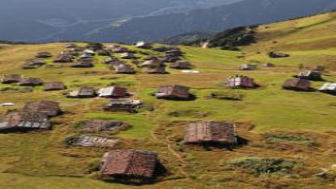 Trabzon yaylalarında sonbahar zamanı: Beklenen renkler kendini gösterdi