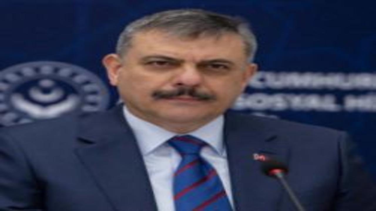 Vatandaş isyan ediyordu, Bakan Çiftçi duyurdu: Sokak köpeklerinin yüzde kaçı toplandı?