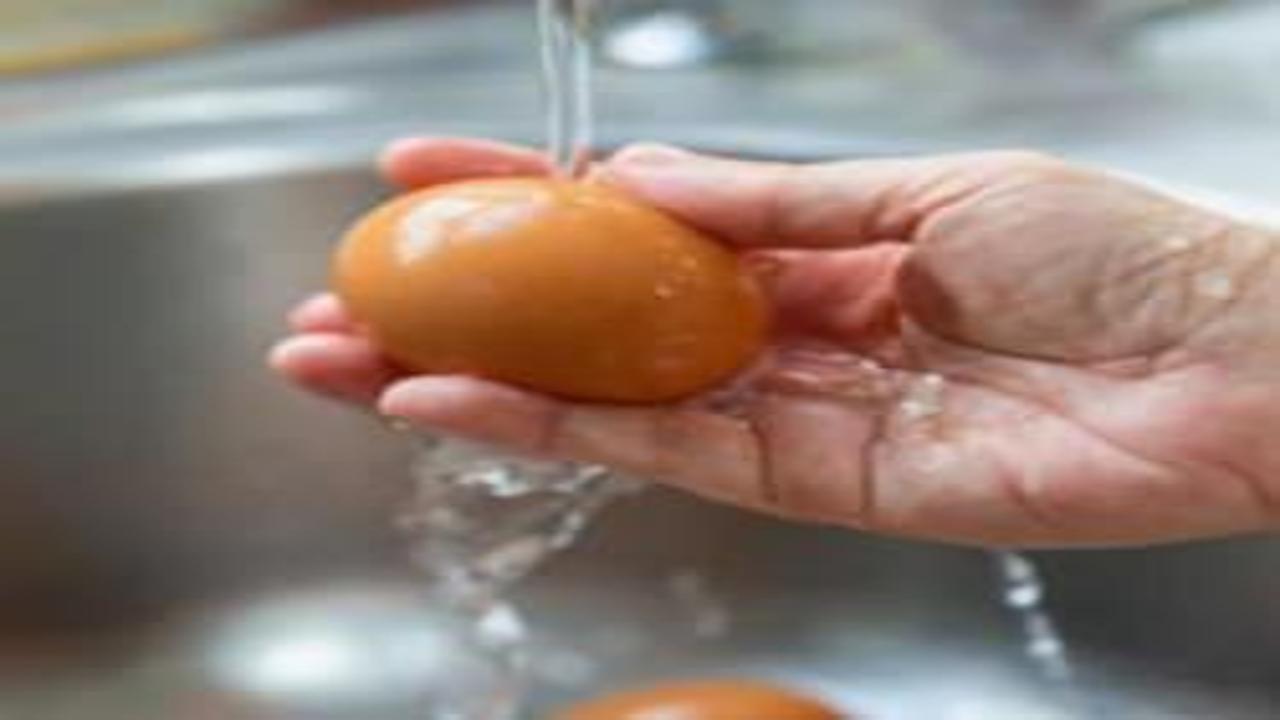 Yumurtada bu işaretle karşılaşırsanız sakın almayın! Hemen değiştirin