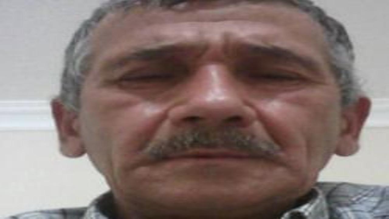 Kesilen ağacın dalının çarptığı orman işçisi öldü