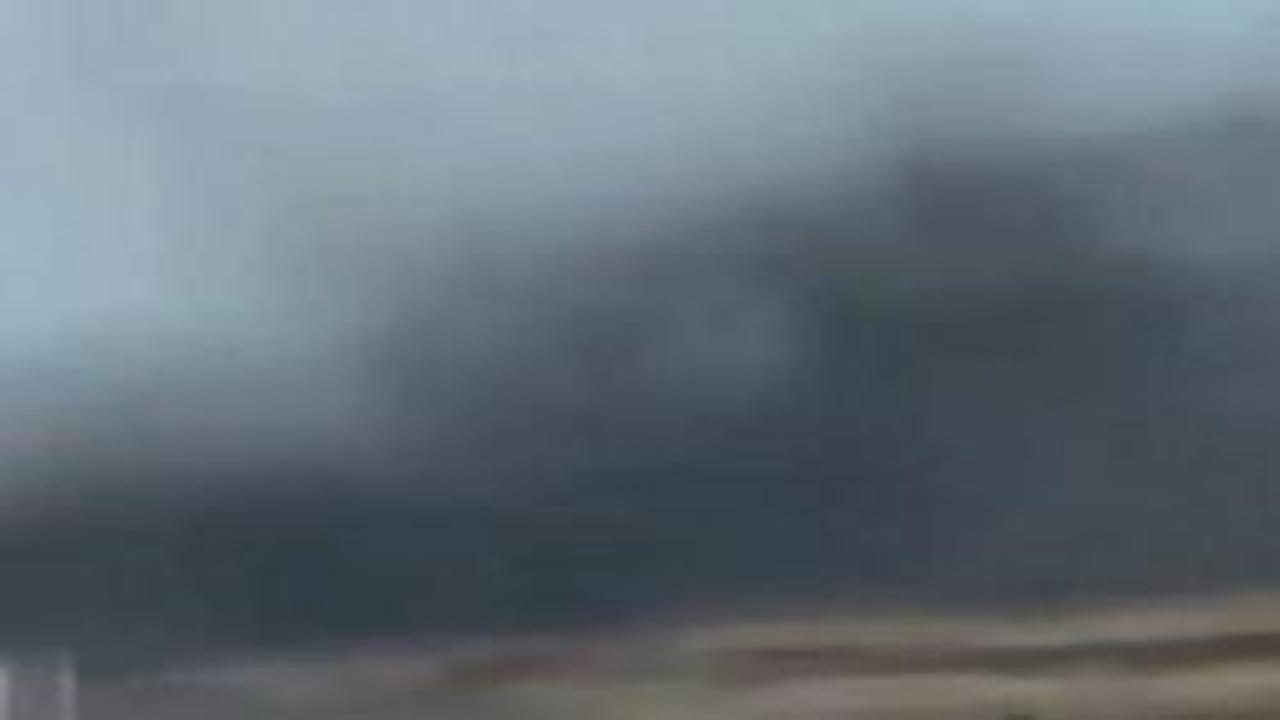 Orman yangını zannettiler, sivrisinek bulutu çıktı! Rusya'da şoke eden anlar kamerada
