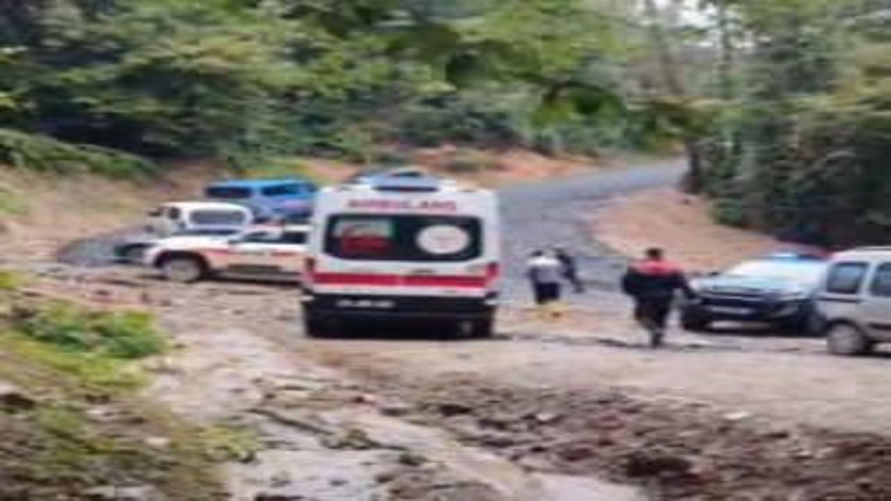 Kestane toplamak için gitmişti: Acı haber geldi