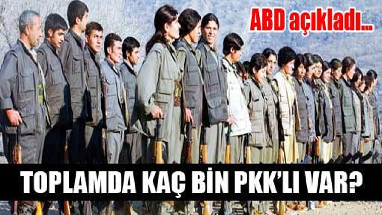 Toplam kaç bin PKK'lı var, ABD açıkladı