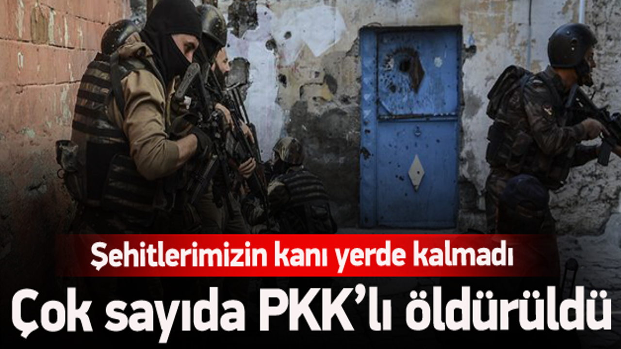 11 PKK'lı terörist öldürüldü