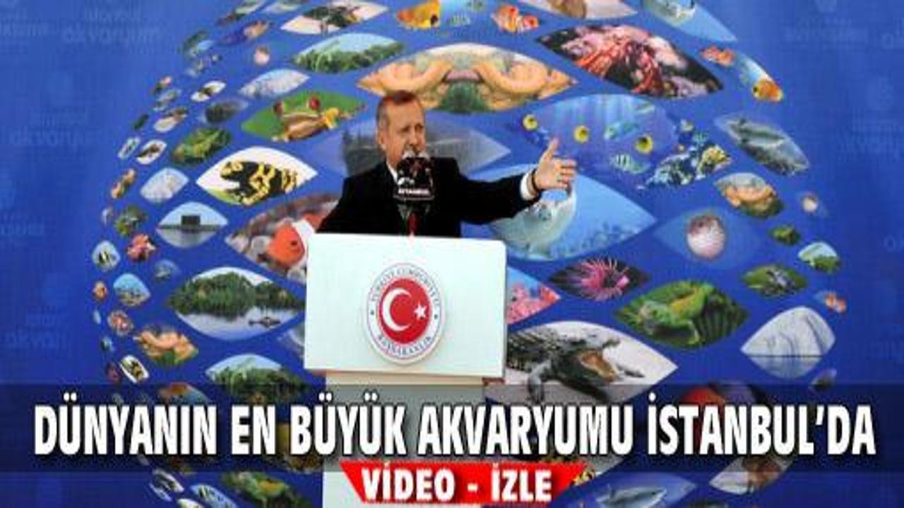 Erdoğan dünyanın en büyük akvaryumunu açtı