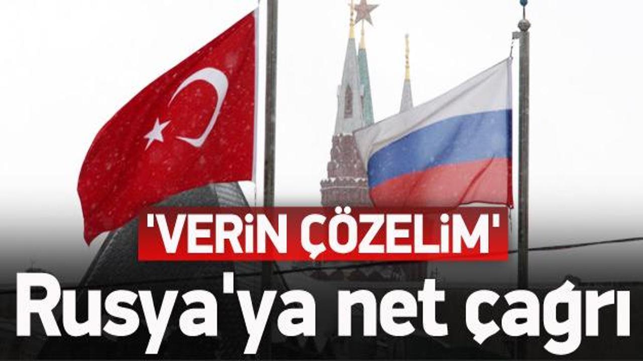 Türk profesörden Rusya'ya: Verin çözelim