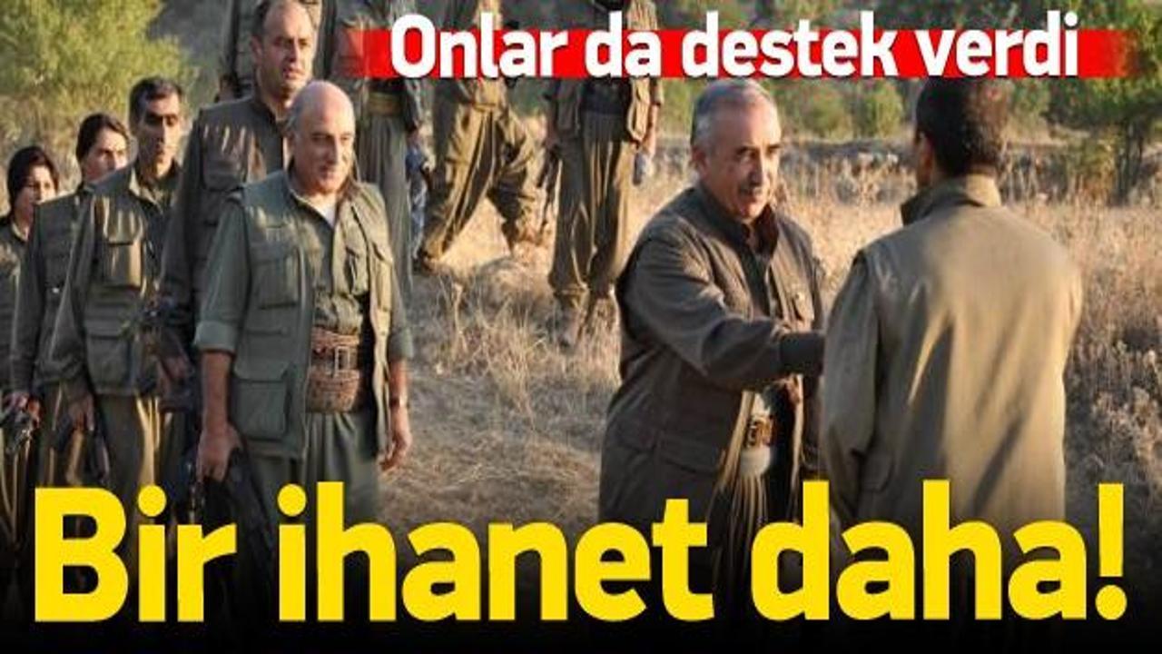 Bebek katili PKK'ya bir destek daha!