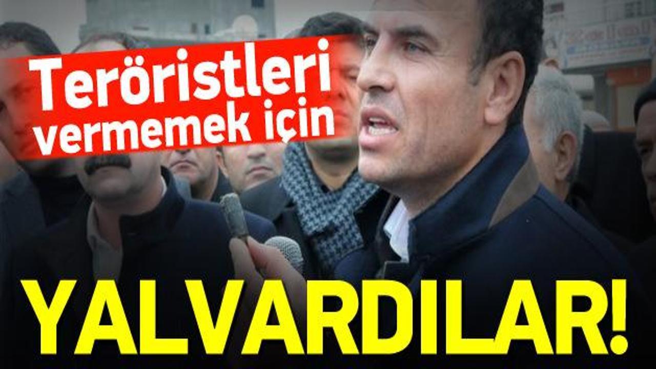 PKK'lıları vermemek i&ccedil;in yerlere yatıp ağladılar
