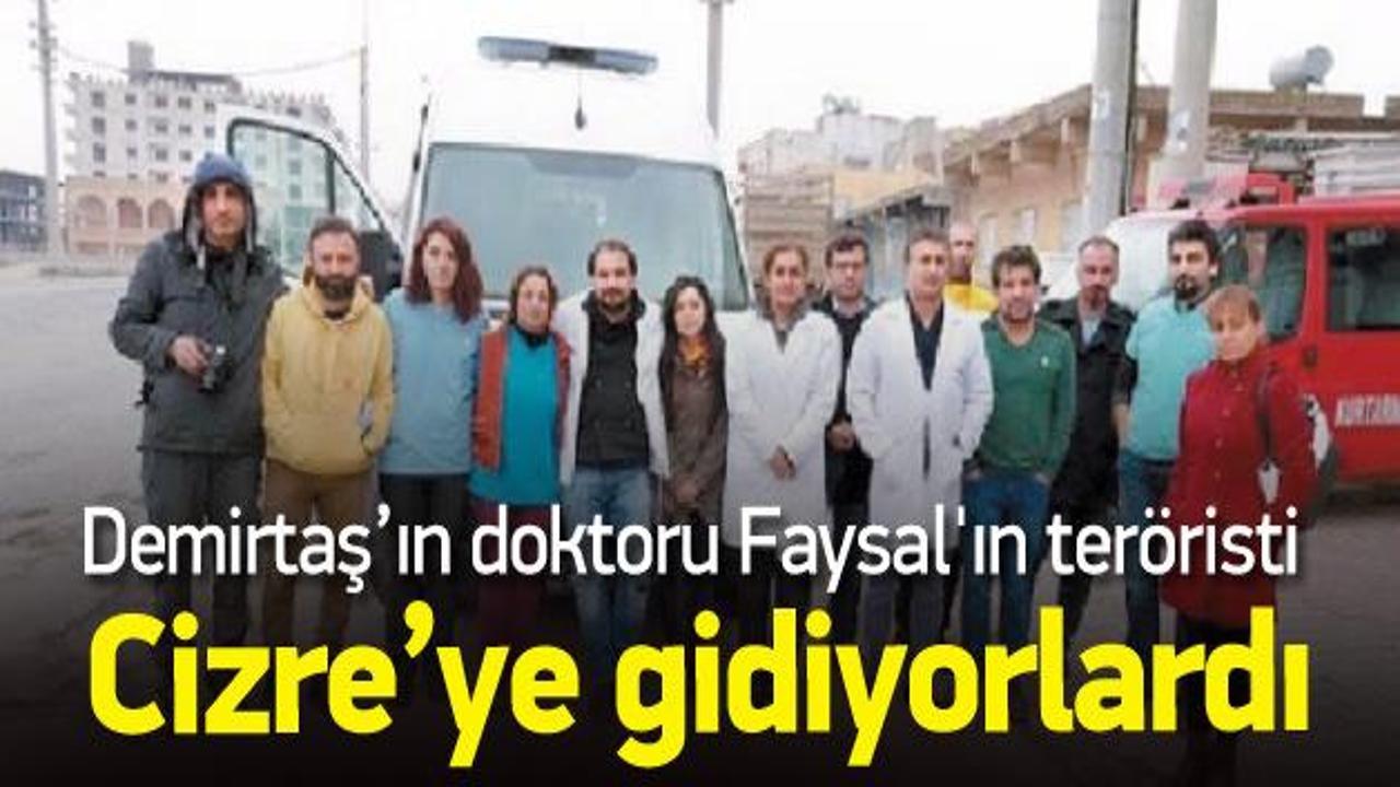 Demirtaş’ın doktoru Faysal'ın teröristi