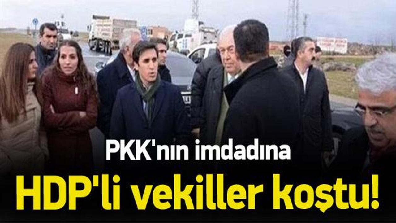 PKK'nın imdadına HDP'li vekiller koştu