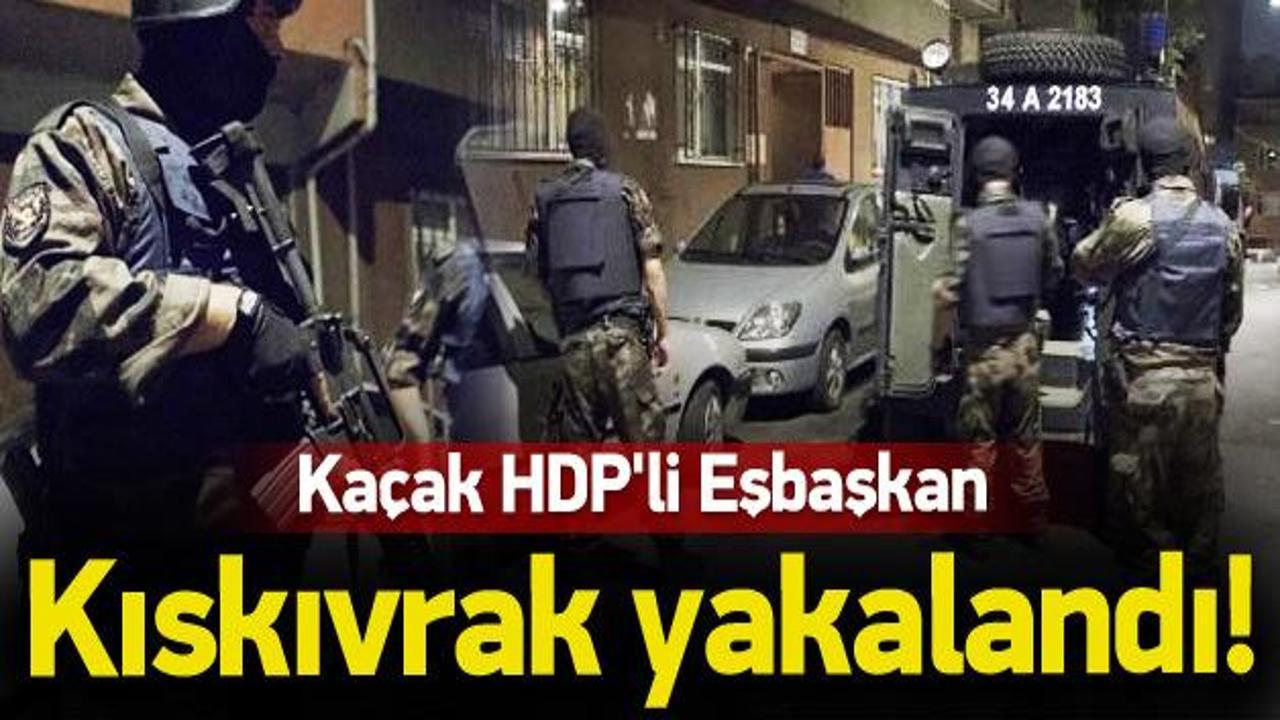 Kaçak HDP’li Eşbaşkan yakalandı!