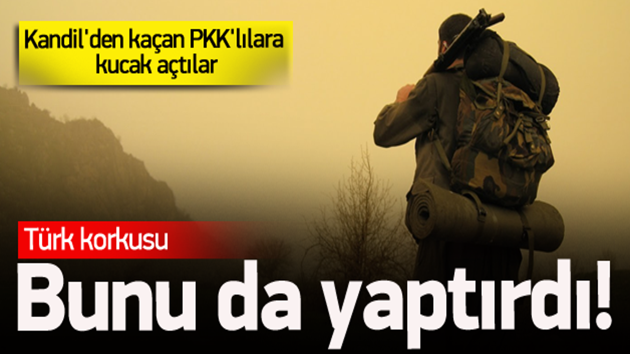 Kandil'den kaçan PKK'lılara kucak açtılar