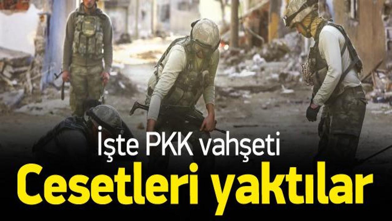 PKK vahşeti: Cesetleri yaktılar