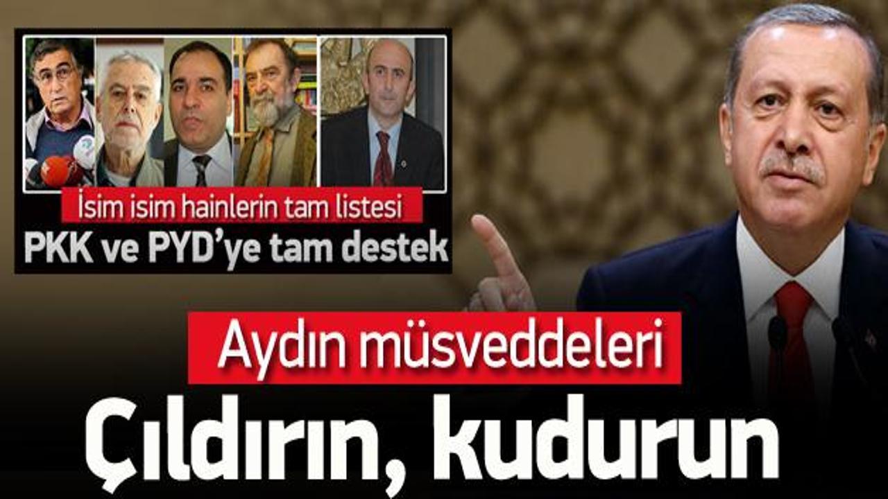 Erdoğan: Aydın müsveddeleri kudurun