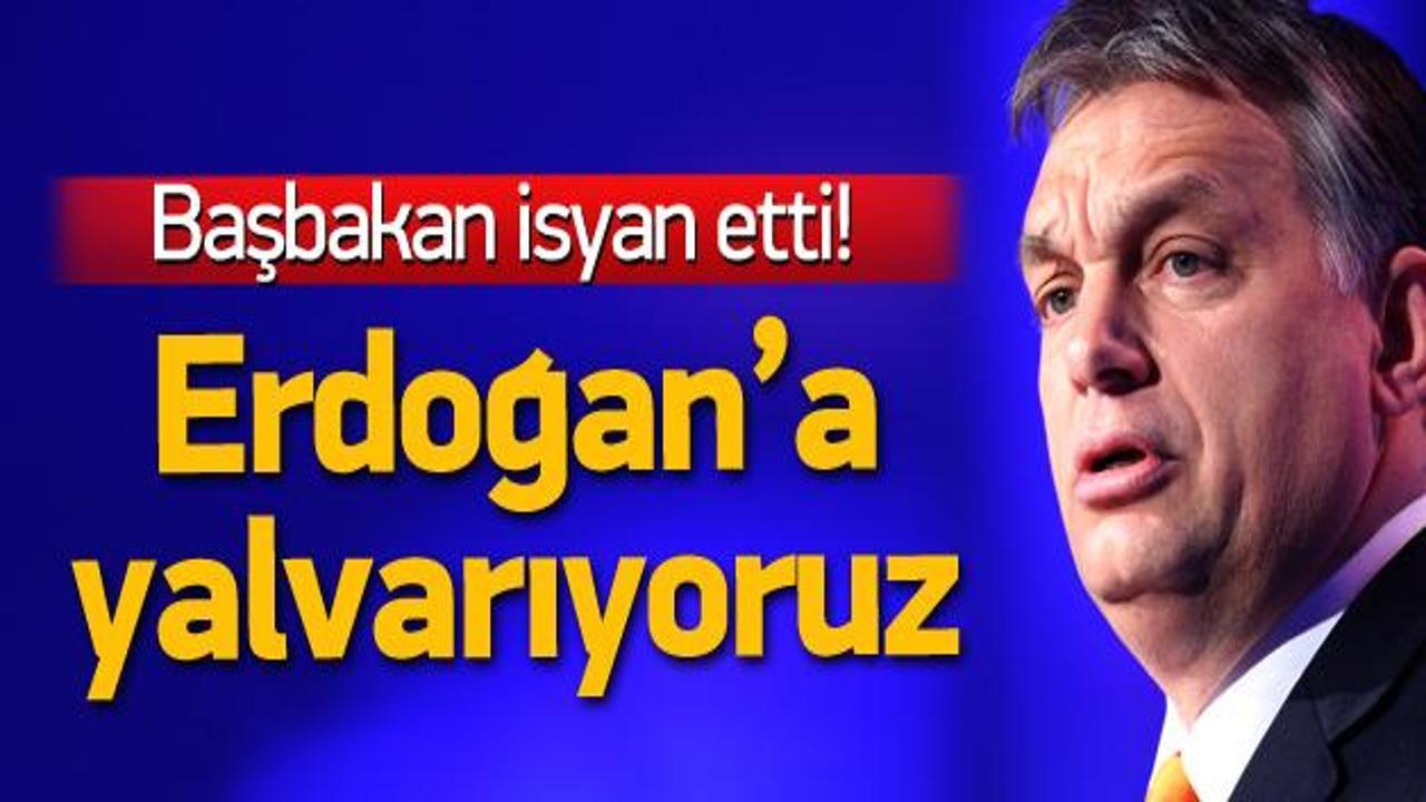 Başbakan Orban: Erdoğan'a yalvarıyoruz