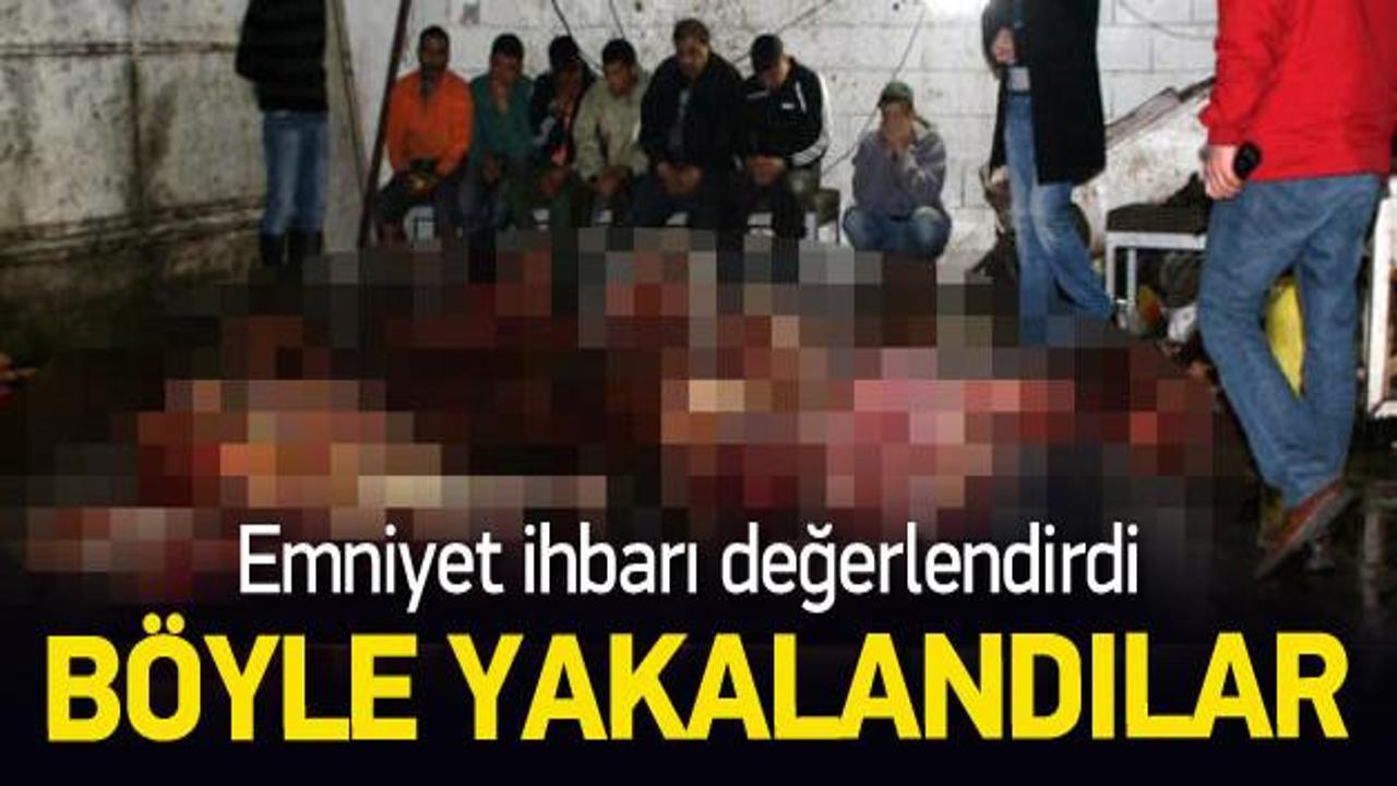 İzmir'de at eti operasyonu