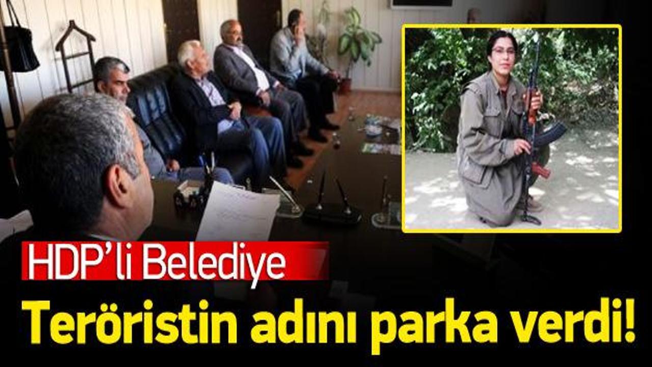 PKK’lı teröristin adını parka verdiler!