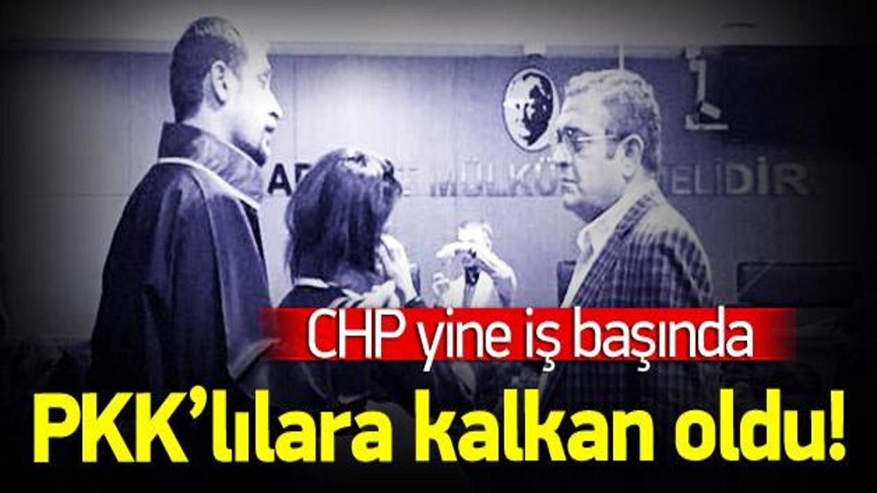 PKK'lı avukatlara CHP kalkanı!