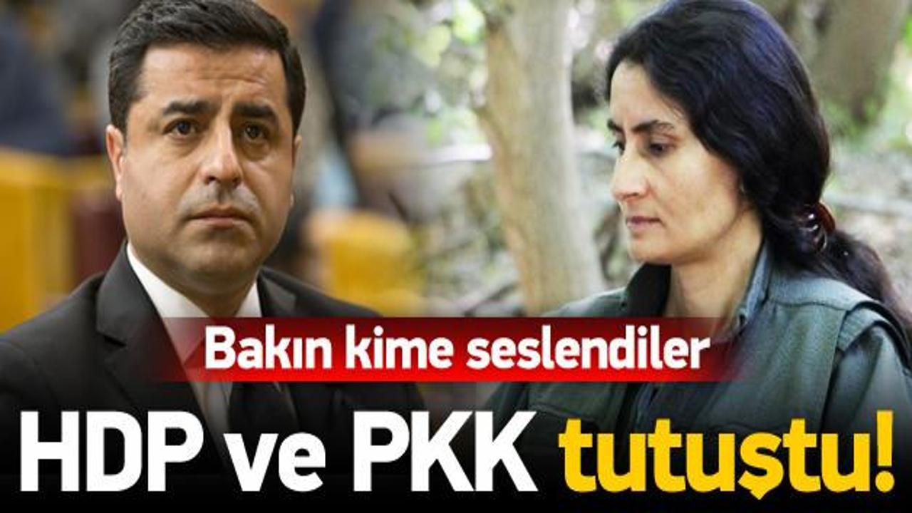 HDP ve PKK'yı korku sardı