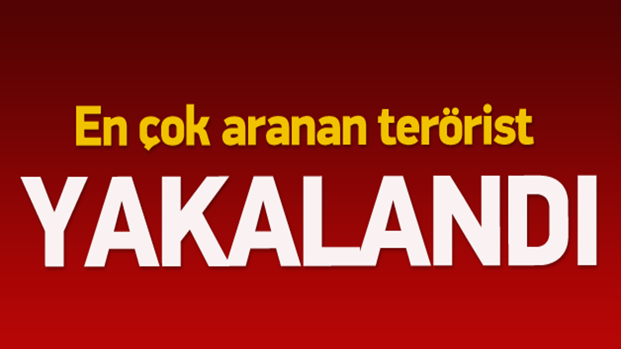 Avrupa'nın en &ccedil;ok aranan adamı yakalandı