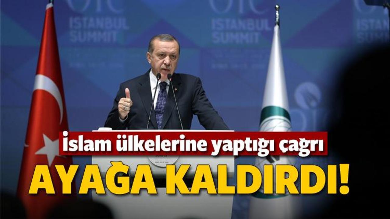 Erdoğan'ın çağrısı Kosova'yı ayağa kaldırdı