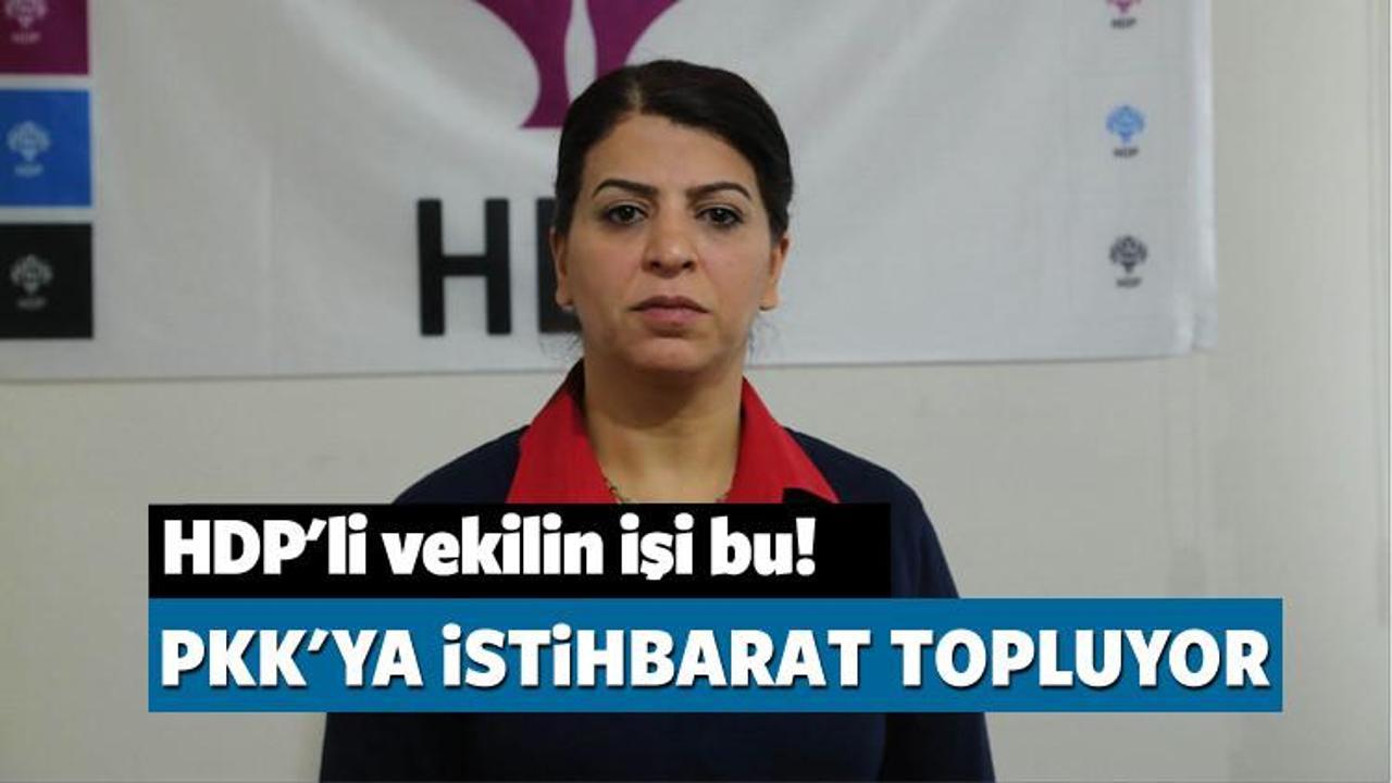 HDP'li vekil Yiğitalp'ten 'polis noktası' sorusu