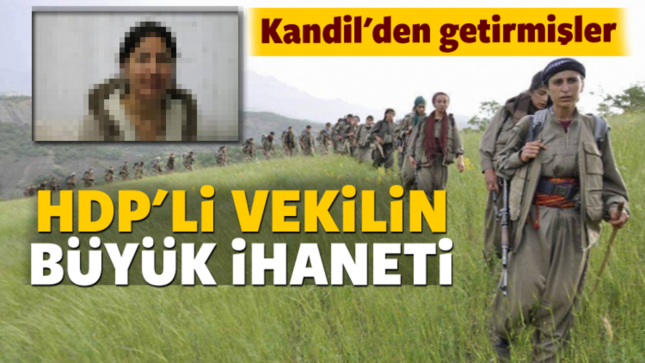 HDP'li vekilin büyük ihaneti!