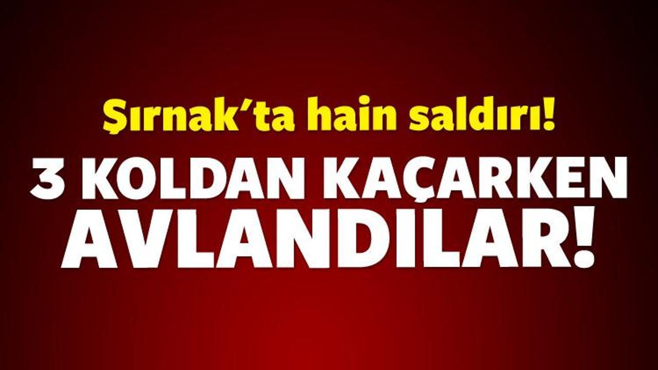 Şırnak'ta şiddetli &ccedil;atışma! 4 ter&ouml;rist &ouml;ld&uuml;r&uuml;ld&uuml;