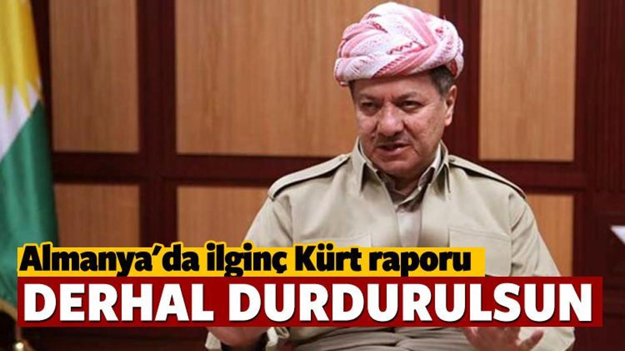 Almanya'da ilginç Kürt raporu: Derhal durdurulsun