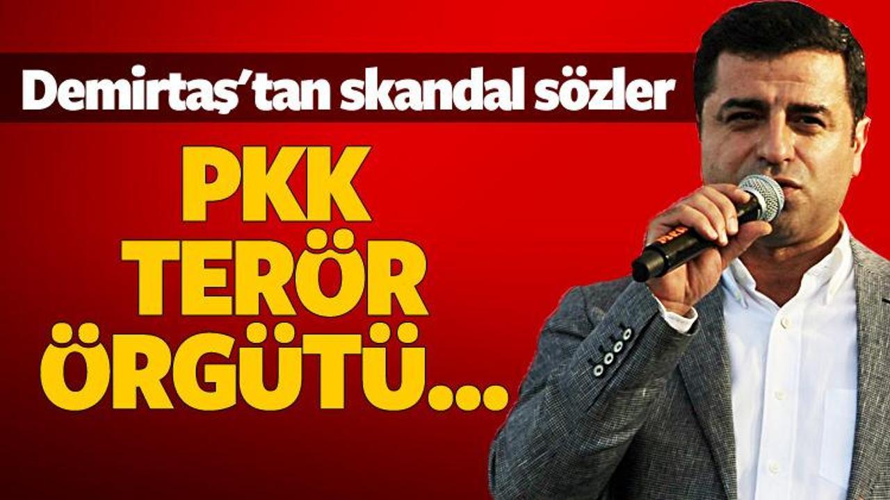 Demirtaş PKK'ya 'terör örgütü' demedi