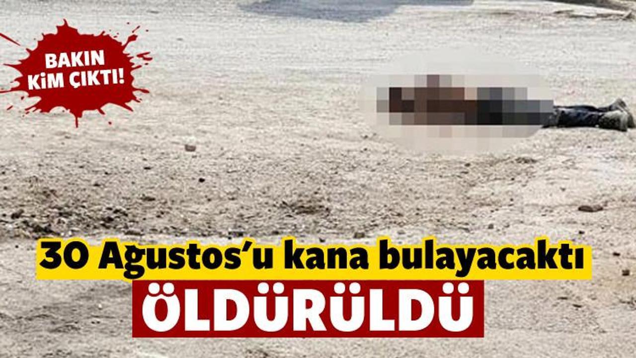 Uludere'de eyleme gelen  PKK'lı öldürüldü