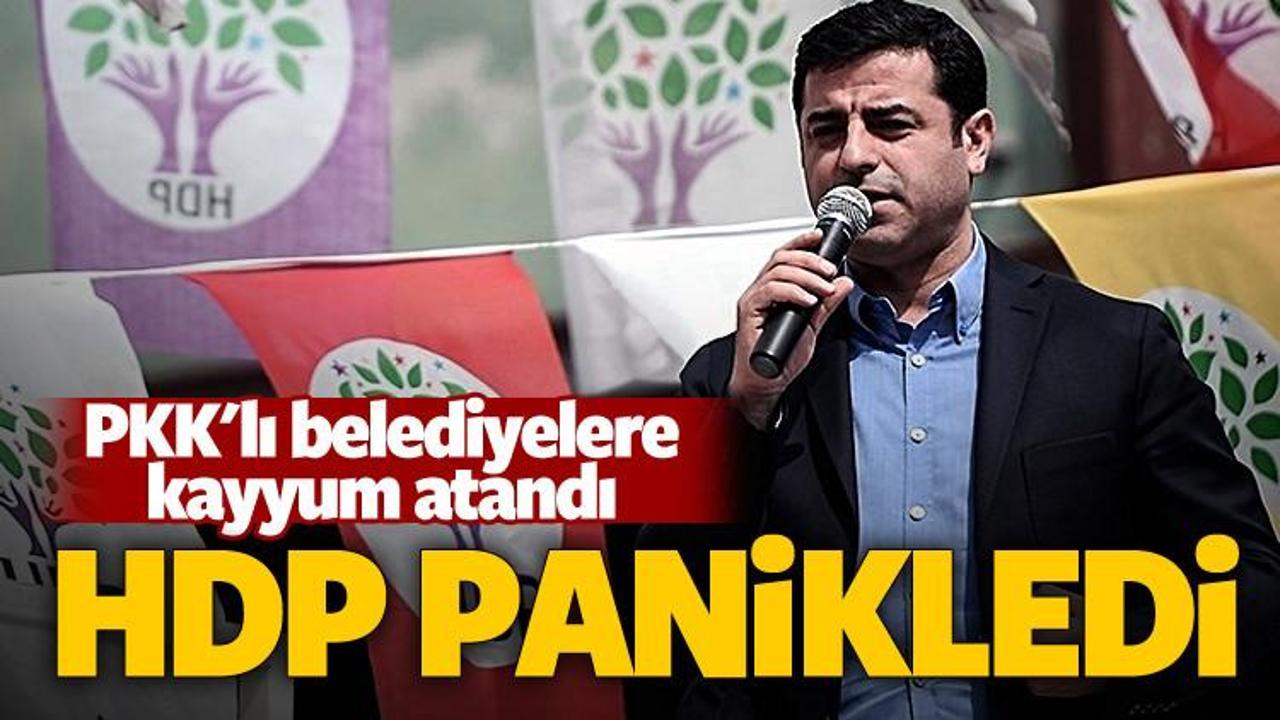 HDP'den 'kayyum' açıklaması