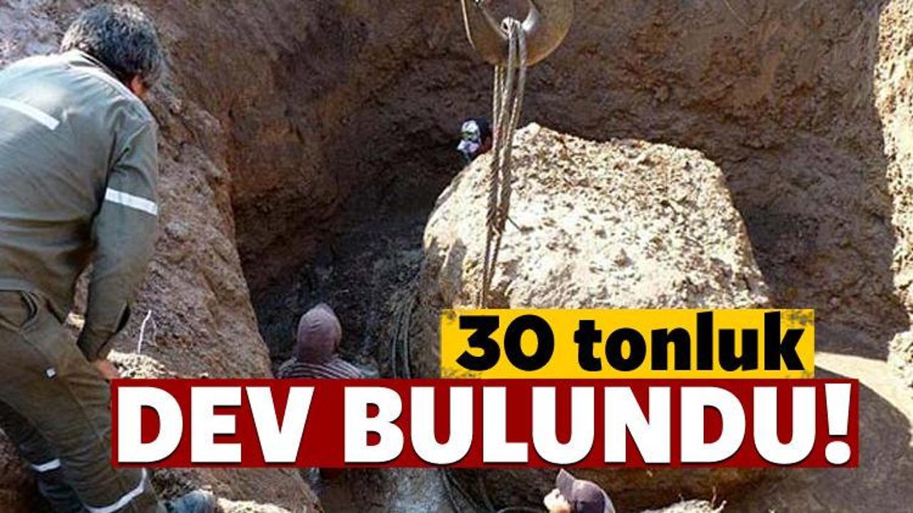 Arjantin'de 30 tonluk meteor bulundu