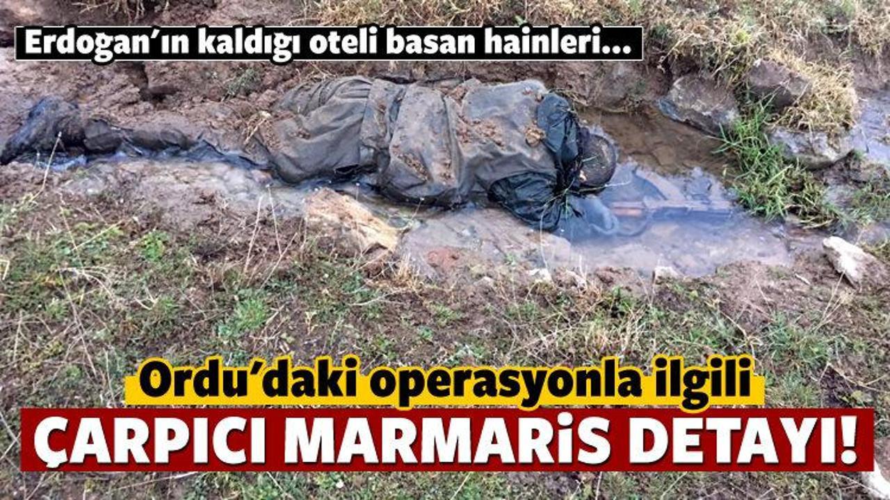Ordu'da operasyonla ilgili çarpıcı detay
