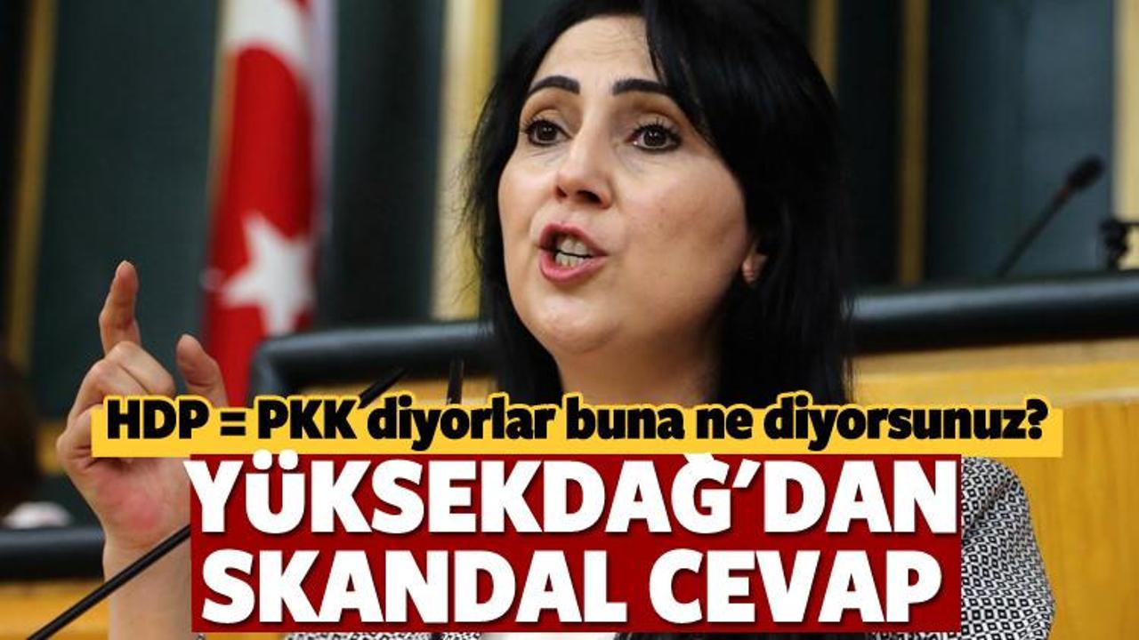 Yüksekdağ'dan skandal PKK savunması