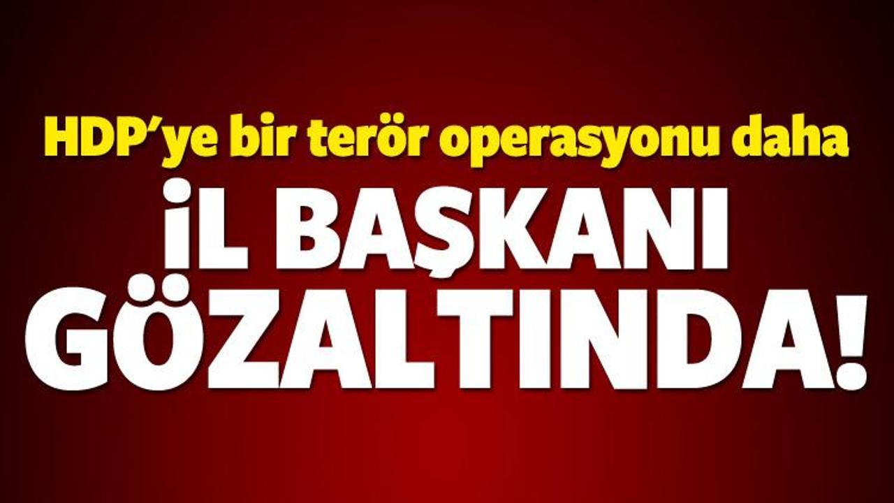 HDP'ye bir terör operasyonu daha!