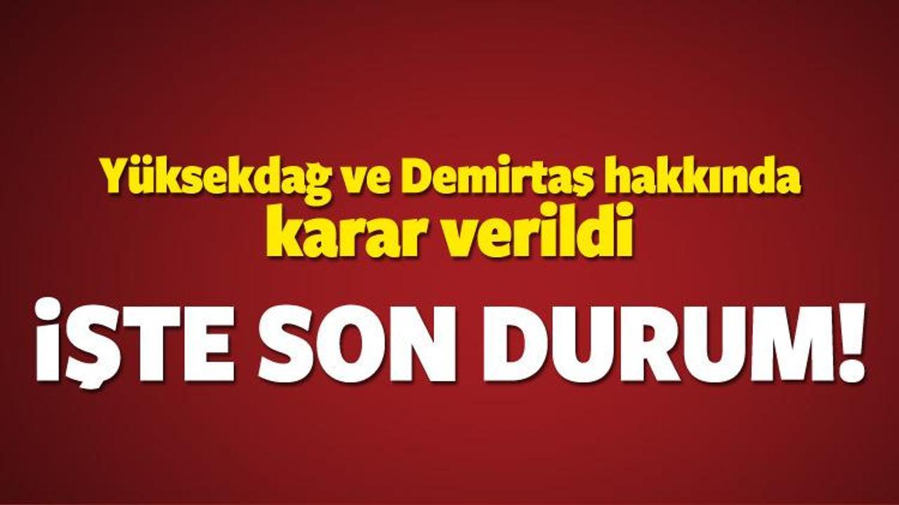 Yüksekdağ ve Demirtaş dahil 9 HDP'li tutuklandı