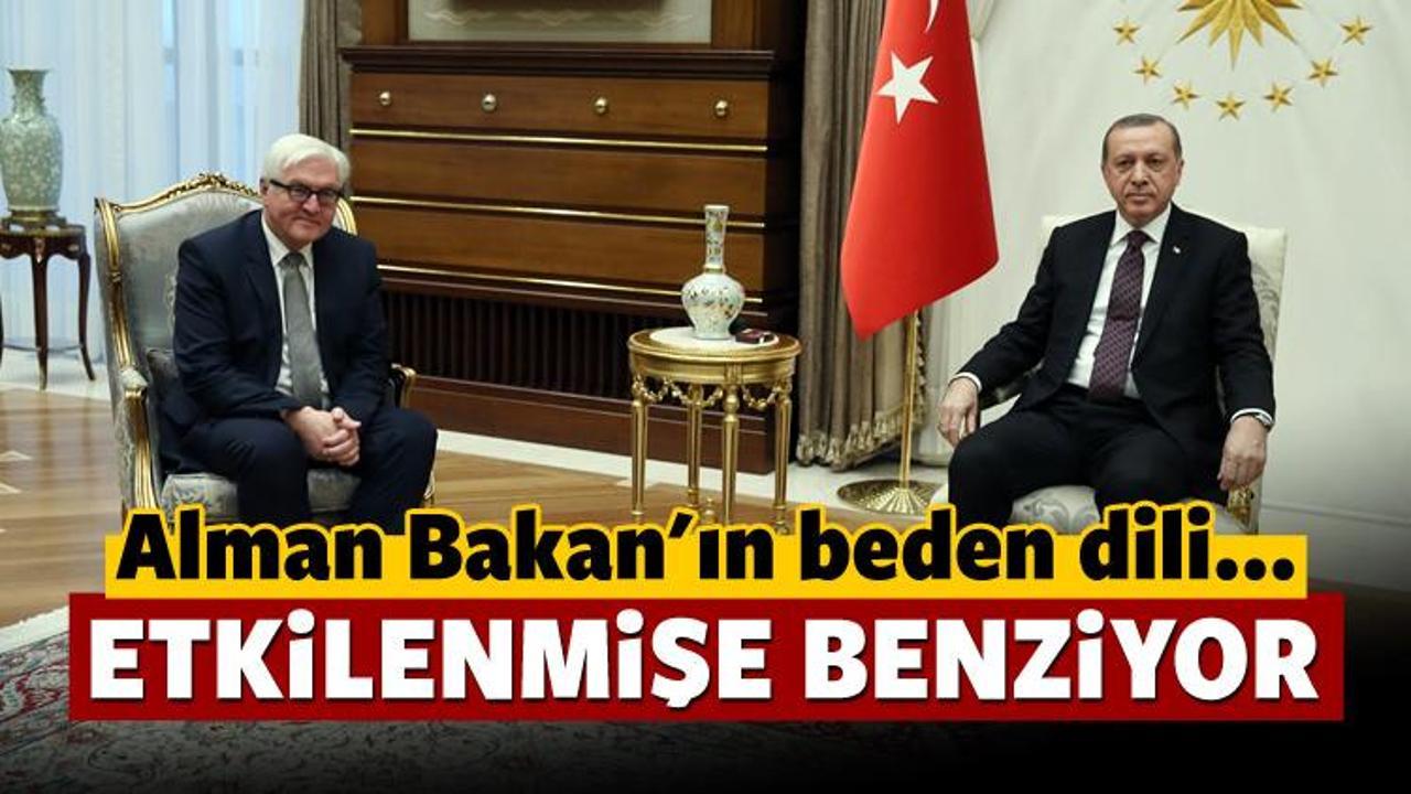 Erdoğan Steinmeier'ı kabul etti