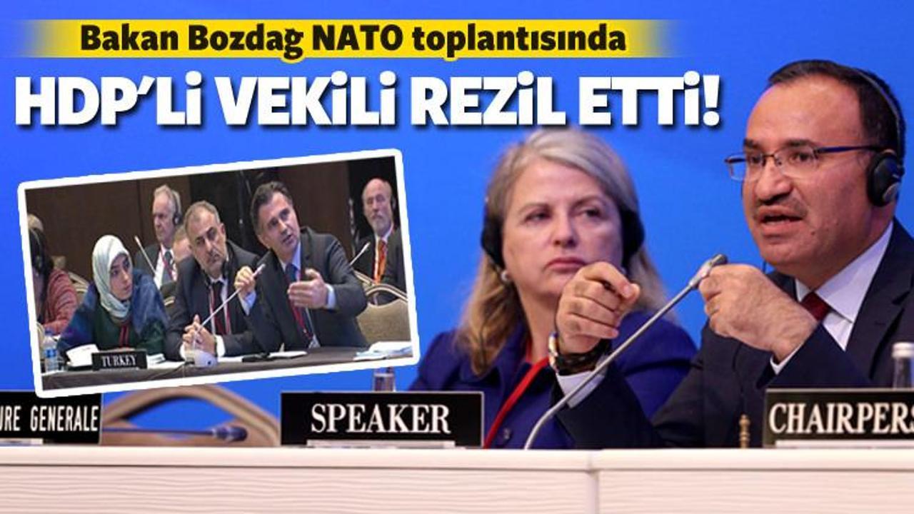 NATO toplantısında HDP'li vekile tokat gibi cevap