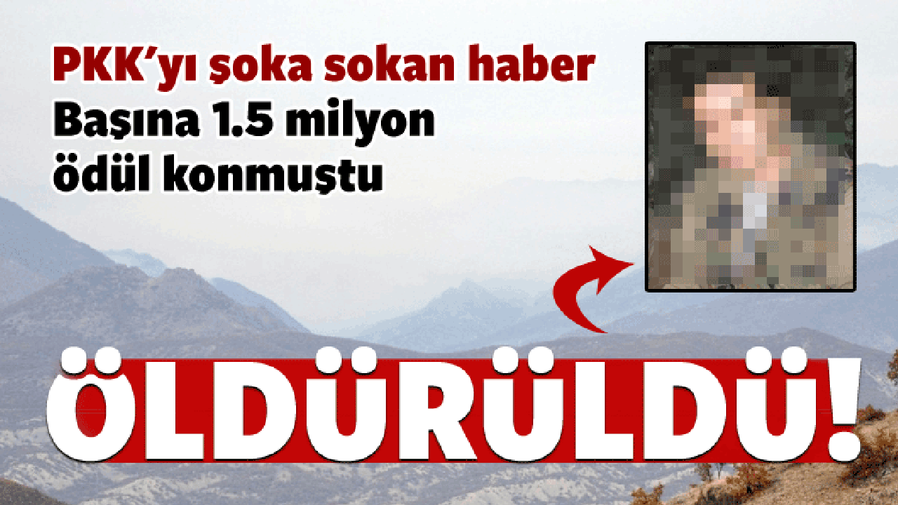 PKK'nın sözde Tunceli sorumlusu öldürüldü!
