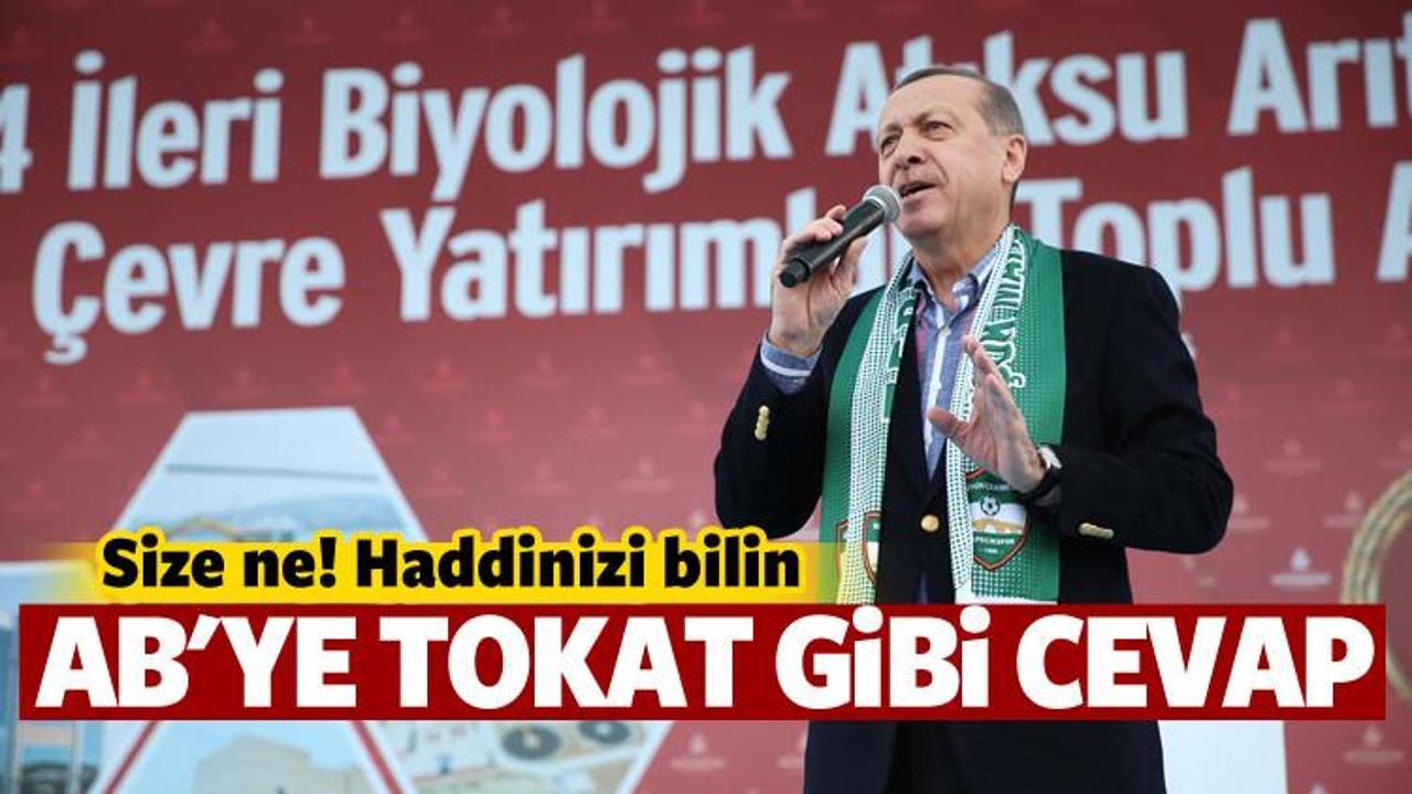 Erdoğan'dan sert cevap: Size ne, haddinizi bilin!