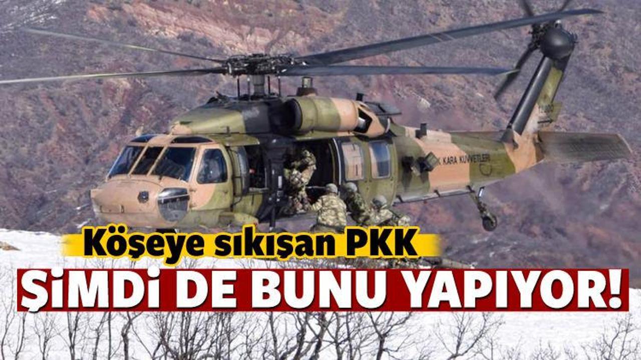 Köşeye sıkışan PKK'dan yeni taktikler!