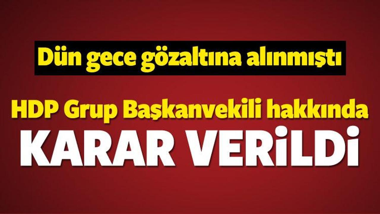 HDP'li vekil Demirel hakkında karar çıktı!