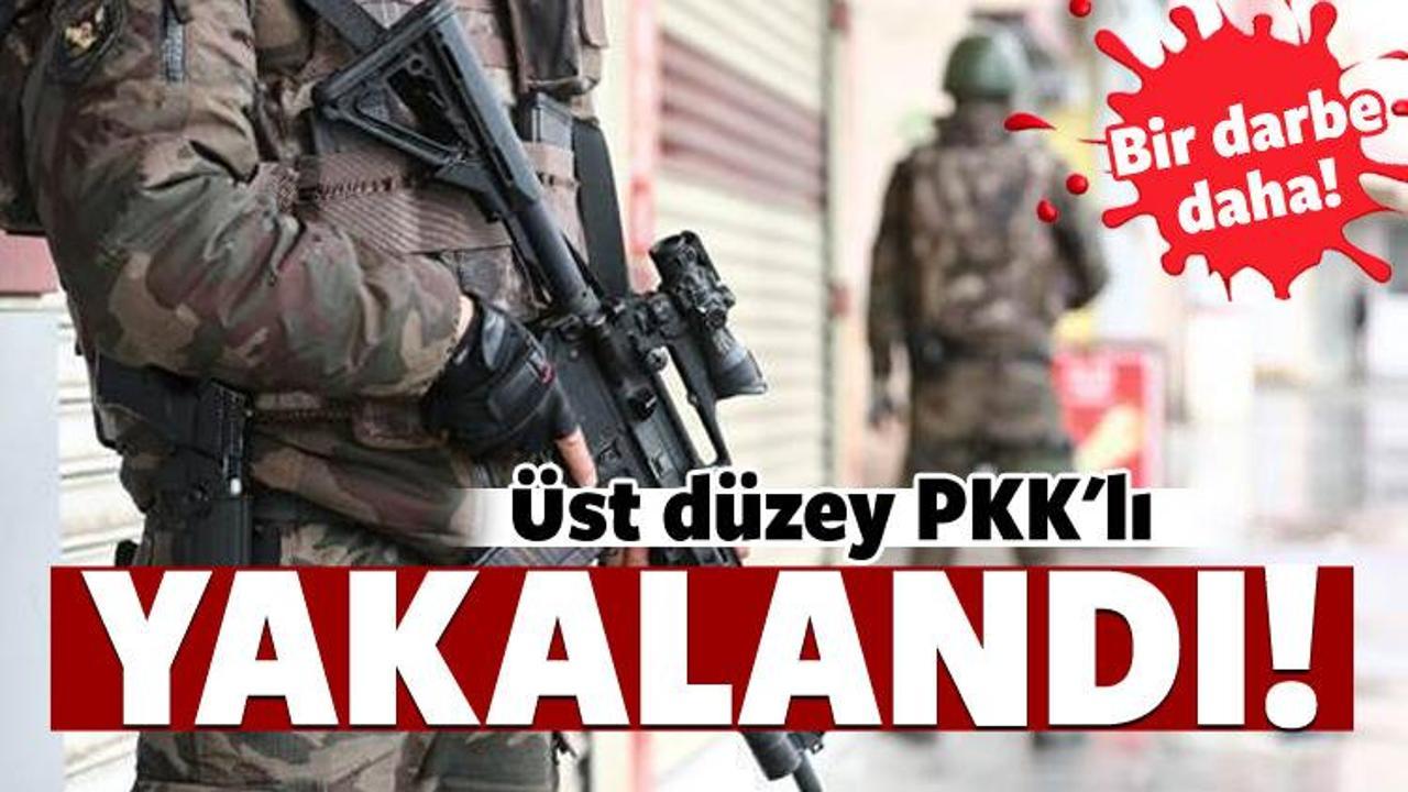 PKK'ya ağır darbe: O terörist yakalandı!