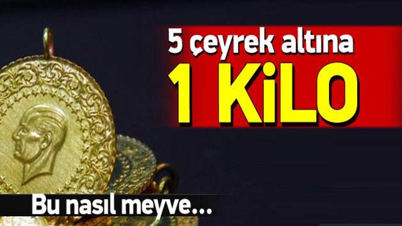 5 çeyrek altına 1 kilo erik!