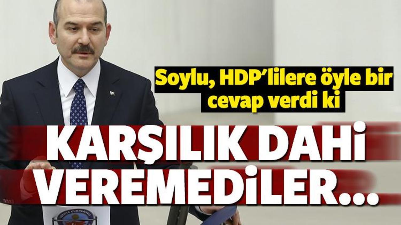 Bakan Soylu'dan HDP'lilere tokat gibi cevap